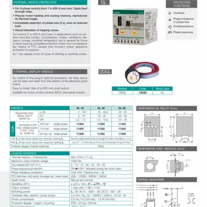 FANOX 电动机和发电机保护控制继电器 GL40系列 11322 11323