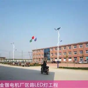 大城6米太阳能路灯-6米太阳能路灯哪家好-亿昌(推荐商家)