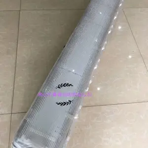 飞利浦WT980专业型LED防爆支架灯