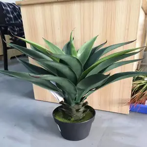 �˹��껨*** ����¥�̷��滨 ����Ծ��