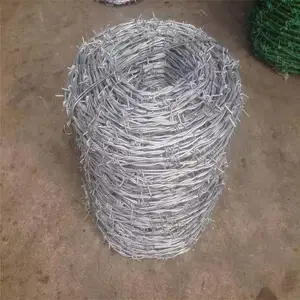 ���ƴ�˿Χ�� �߸��ε�Ƭ������ ������˿����п����