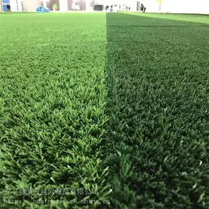 ��԰�����˹���ƺ ʩ���̻���ƤΧ�� ���������ɫ�����