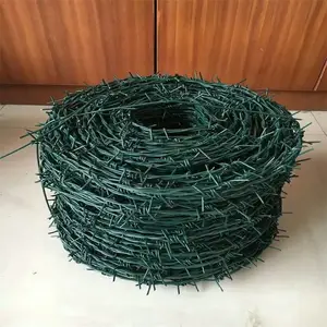 ˫������Ƭ���� �߸��͵�Ƭ���� ��ʢΧǽ�����������