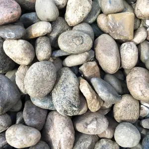 �Ѱ¹�Ӧ ����ʯ ��ѹ���ͳص�� �糧�̵���ȼ����ʯ