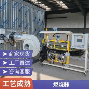 水套炉燃烧机 氢气天然气燃烧器燃烧器源头厂家 岱鼎燃烧