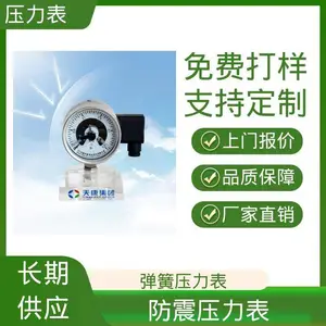 天康 TK3051H 径向压力表 ***显式 货源充足 现货保质