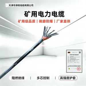 煤矿用电力电缆 耐高低温 MVV1.9/3.3kV 源头厂家 鑫津缆