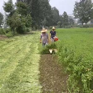 �������ַ������ո�� �������߸�ɹ�� ��ɹ����֥���˻�
