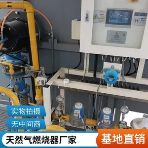 球团加热炉烧嘴 高炉煤气燃烧器氢气燃烧机源头厂家岱鼎燃烧