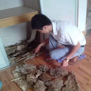 福州白蚁***方法-福州清道夫白蚁***-福州白蚁***