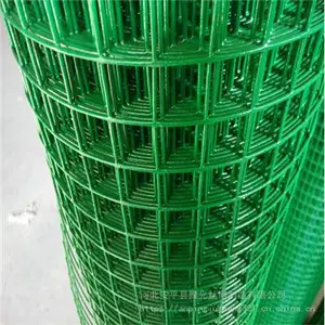 河北安平聚光 专业供应荷兰网