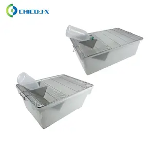 С���� ������ ʵ�������� ��ֳ�����д�С����Ⱥ���� С��������