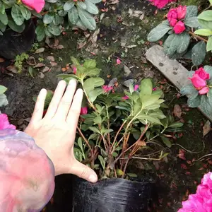 ��Ʒ�������ۣ����õ�����飬�����õı���ʱ�ž�