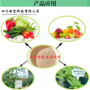 ��Ӧ���ϰ������60% ������ԭ�� ˮ�������������