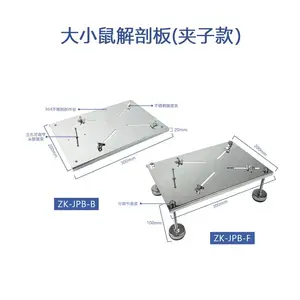 小鼠固定解剖板小动物固定解剖恒温加热鼠板可调节手术灯大小鼠实验器械