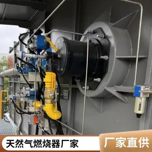 高炉煤气烧嘴_高炉煤气转炉煤气火嘴燃烧器 岱鼎厂家