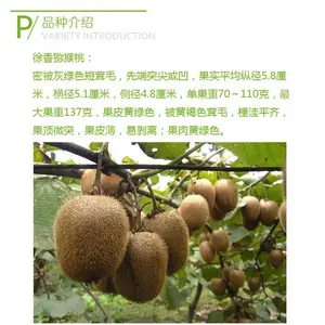 �����ƽ��⨺������� �޽�⨺������� *** ���ֵ�⨺�������
