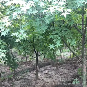 �ձ�������� �ձ����С��۸� 2����3����4����