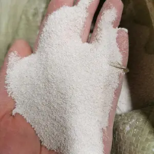 �㶫������̨�������������70-90Ŀ������
