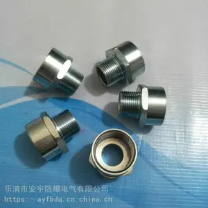 �����ܽ�ͷBGJ-G11/4˫��ExdII