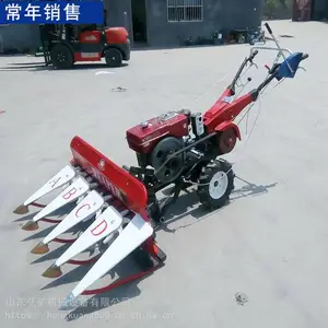 ���ʹ�������ɹ�� С����������� ũ����ո��ո������