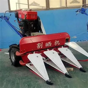�๦��С����ޣ���ո��������С���ո�������ר���ո��