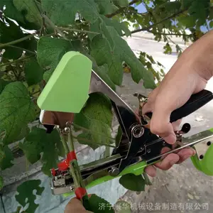 ⨺��Ұ�֦��С�� ����������ʽ������ ���Ѱ��������Է���
