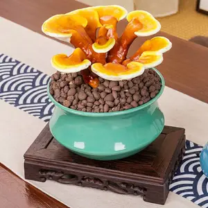 ��֥�� �辰��֥ �ʻ���֥���� ������ֲ���� ��������ڼ�����