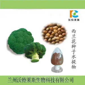 西蓝花提取物 西兰花籽提取物10:1 西兰花种子水提取物