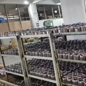 东莞市贝凯轮电子有限公司