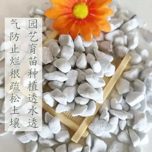 �������ֻ���������԰�����籣ʪ͸������������������