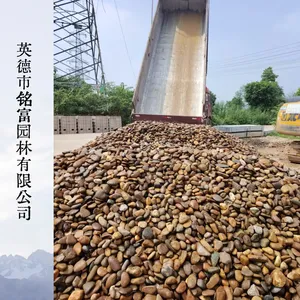 天然水洗鹅卵石 圆润无尖角 变电站垫层园林造景一站式供货