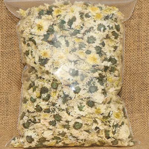 批发菊花七月菊黄山贡菊金丝皇菊黄山市