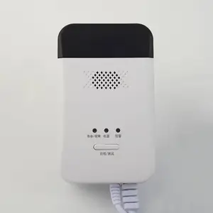 ��ʢ����������ʽ��ȼ����̽���� ȼ���������Զ��жϷ���װ