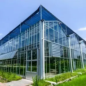 全覆盖玻璃温室大棚