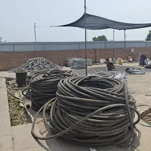 �㶫��������ѹ���»��� �ֽ����Ÿ�Ч����