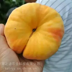 ������۸�ë����硢�����4����������Ʒ�ּ۸����