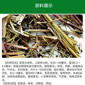 荆芥粉 植物提取原料 速溶浓缩 比例提取 长期供应