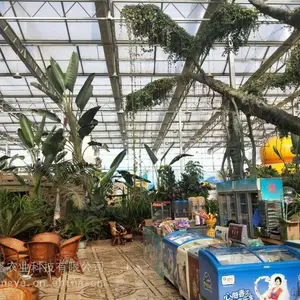 观光温室大棚设计建造,蘑菇温室大棚造价 山东贝塔