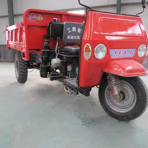 ***��Ӧ8����������ж���ֳ� �ǹ��̽���������ɳ���͵�·��������빤��