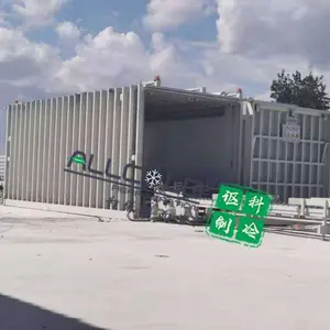 果蔬真空快速冷却机500公斤型供应黄秋葵/芥蓝/菜心快速预冷延长保鲜期