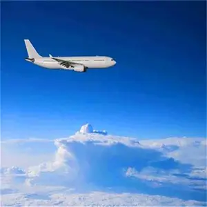 �Ͼ���������������FLR�Ϻ����� �Ͼ����˳���