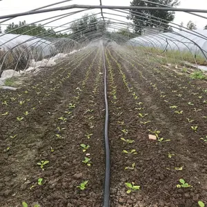 大田青菜撒种喷水带 微喷灌水肥药一体化 一寸微喷带批发价格