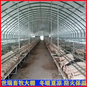 塑料养羊大棚建设 养羊棚设备搭建 山羊养殖棚安装