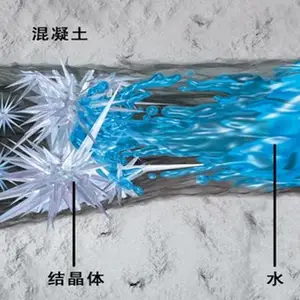������ũ�ܹ�ԭԭ�ݾۺ���ˮ��������Ϲ�ԭ����ˮ�ཬ���ڵ����ҷ�ˮ������