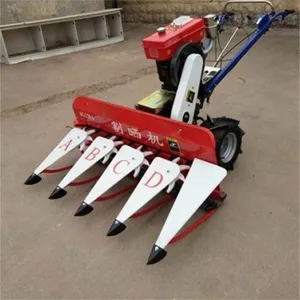 �ַ�ʽ����С�͸�ɹ�� ����ʽ��ޣ���ո��ר��