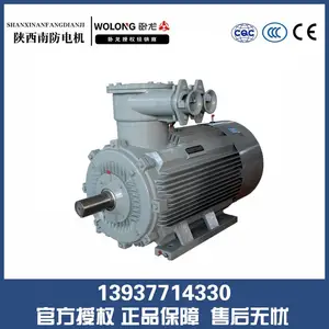����������� 2��YBX3ϵ�е�ѹ���������첽�綯�� ��Ч���ܵ�����