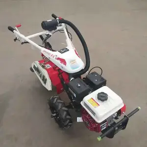 ��԰���ݷ����� �ַ�������ʽС�������� ΢��������