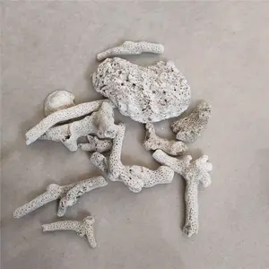 �ӱ�����������׹�����ɺ���� ɱ������ ����ˮ����ɺ����