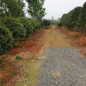 �軨��-�ļ���԰�۸�ʵ��-�軨��ľ�۸�